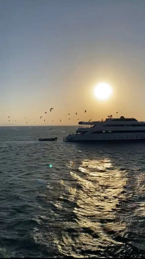 IMAGE 2023-06-14 15_05_28.jpg