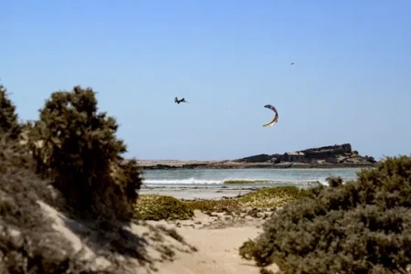 Дельта кайт Duotone Evo D/LAB 2024