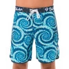 Бордшорты для серфинга 69Slam Luke Boardshorts Candy Splash 2020