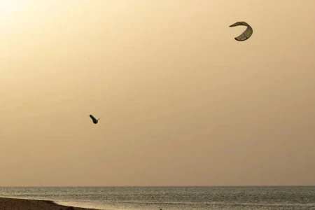 Дельта кайт Duotone Evo D/LAB 2026