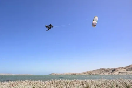 Дельта кайт Duotone Evo D/LAB 2024