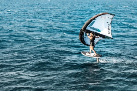 Винг Core Halo 2025