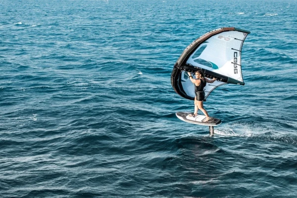 Винг Core Halo 2025