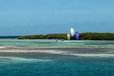 Гибридный кайт Duotone Rebel SLS 2026