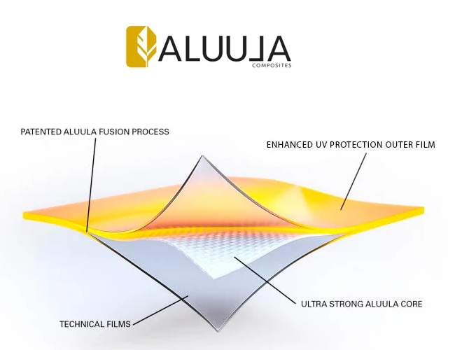 Evolution Wing Gold Y29 Aluula Gold 82.jpg