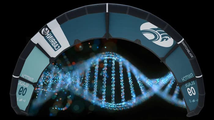 switchblade_DNA.jpg switchblade_DNA.jpg