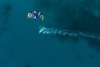 Кайт Duotone Dice SLS 2024