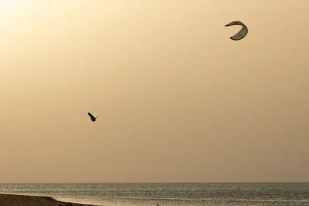 Дельта кайт Duotone Evo D/LAB 2026