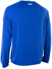 Лайкра для серфинга Ion Wetshirt Men LS Cobalt/Reef
