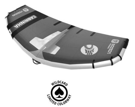 Винг Cabrinha Vision 2025